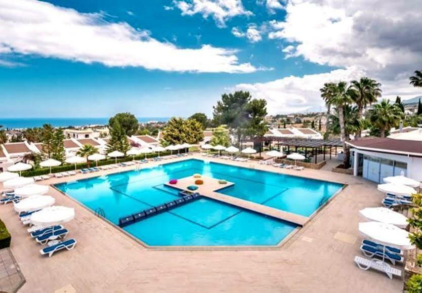 The Olive Tree Hotel Ájosz Epíktitosz Kültér fotó