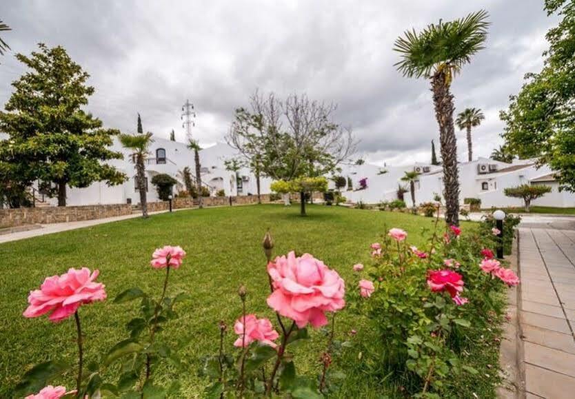 The Olive Tree Hotel Ájosz Epíktitosz Kültér fotó