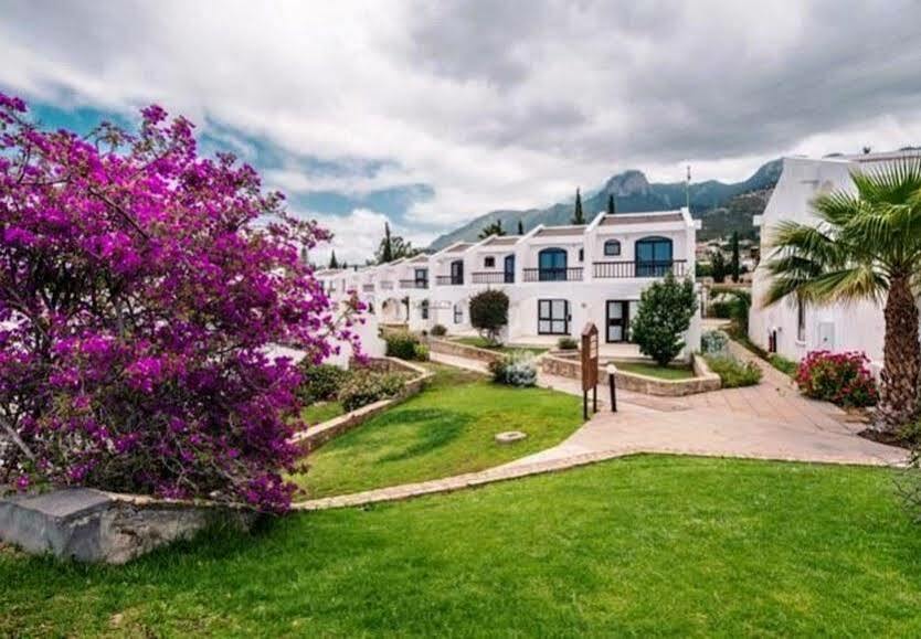 The Olive Tree Hotel Ájosz Epíktitosz Kültér fotó