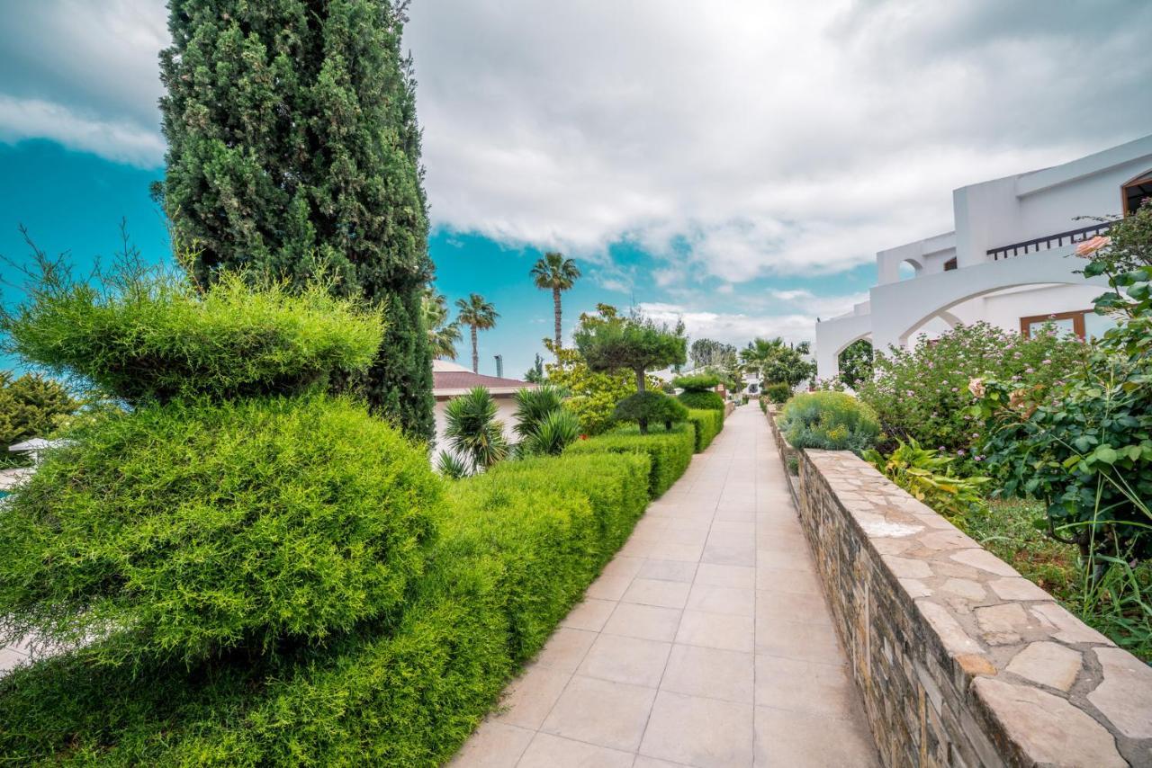 The Olive Tree Hotel Ájosz Epíktitosz Kültér fotó