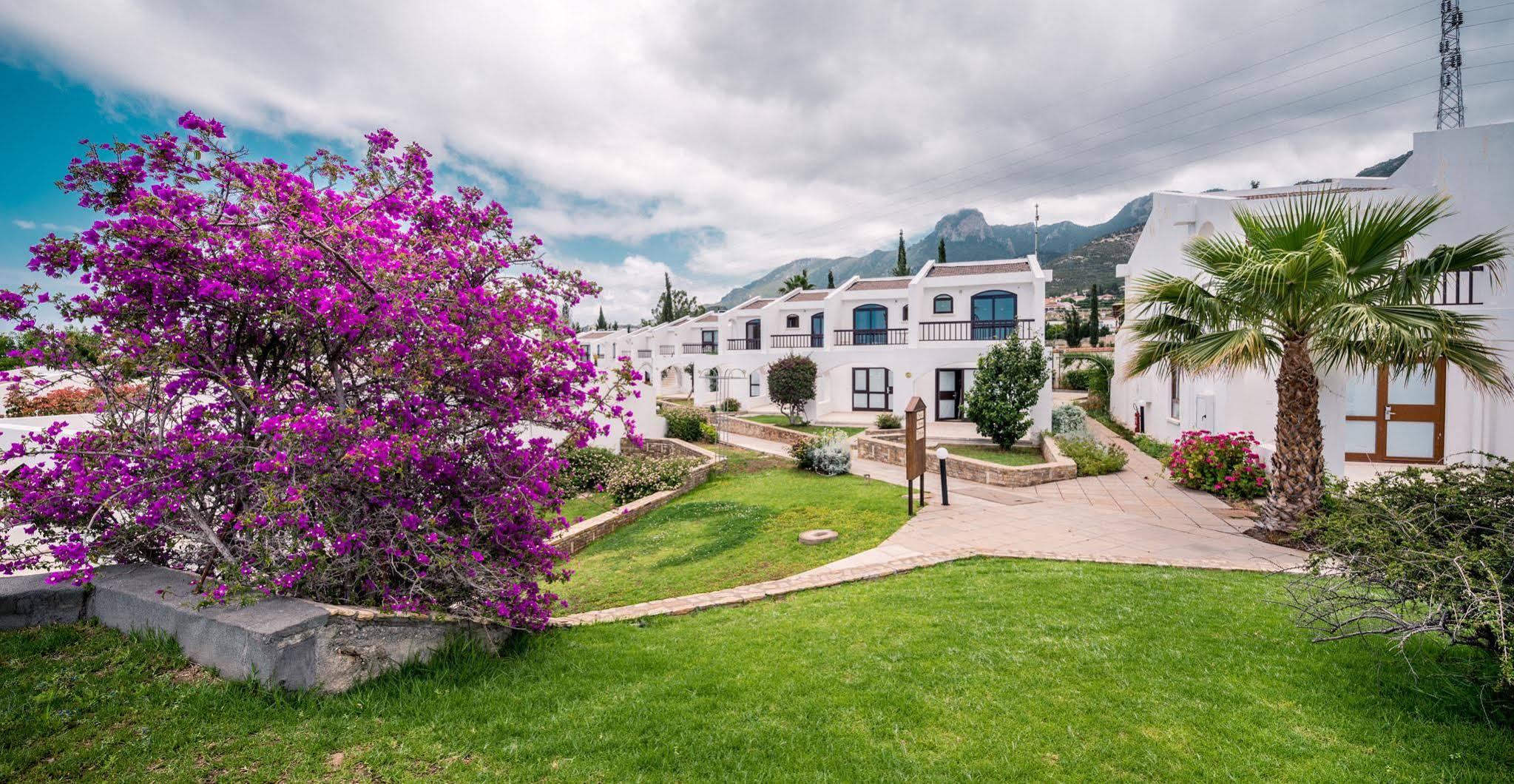 The Olive Tree Hotel Ájosz Epíktitosz Kültér fotó