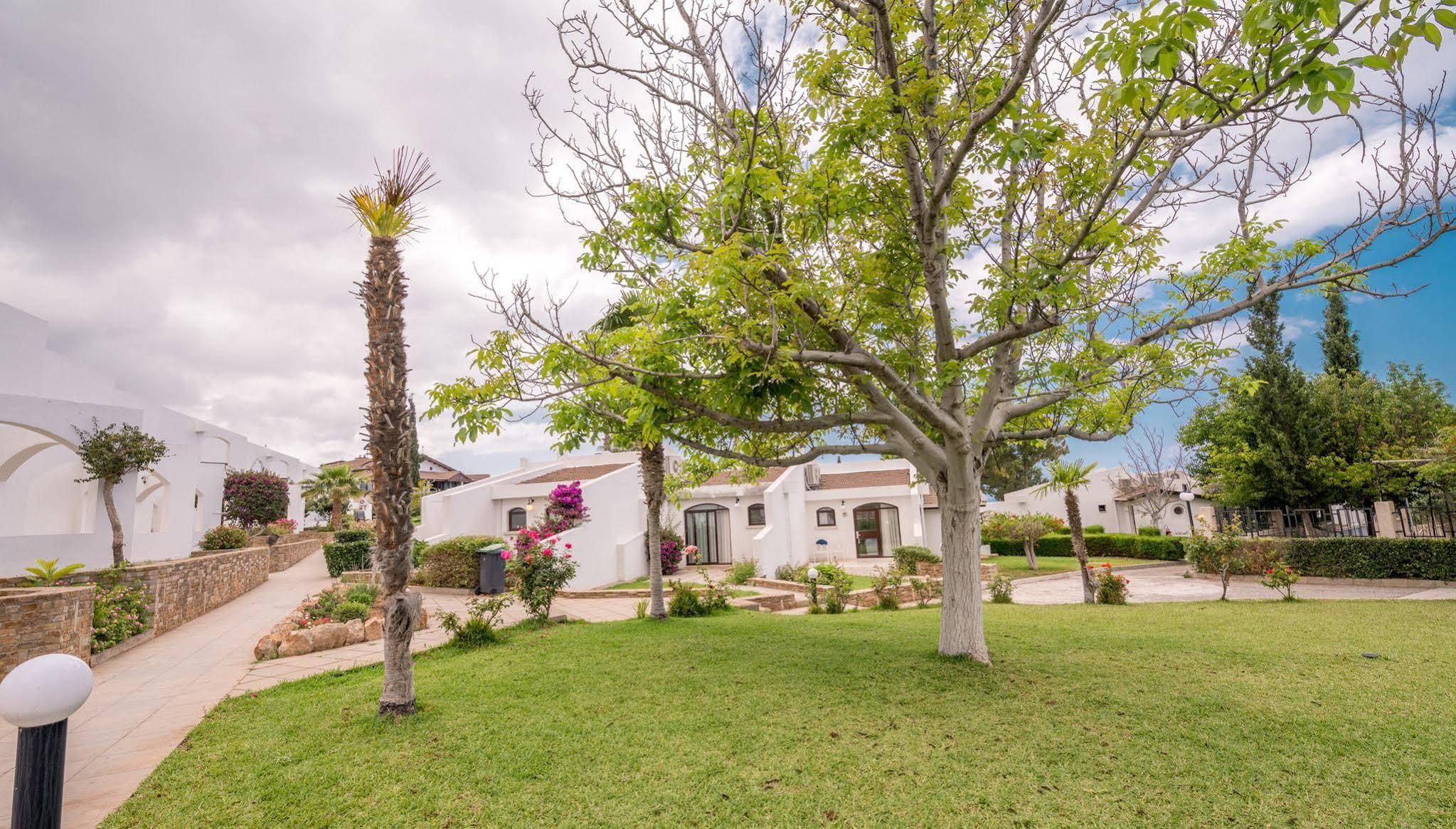 The Olive Tree Hotel Ájosz Epíktitosz Kültér fotó
